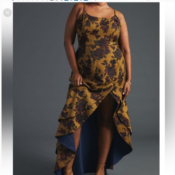 Anthropologie Dresses & Skirts - Anthrolologie Hutch Malia Collection Dress